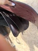 Selle cwd