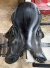 Selle Child&eacute;ric CFAP noire CSO/Cross 