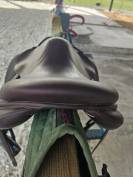 Selle enfant CWD 