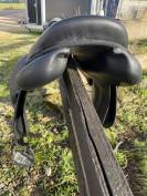Selle forestier 