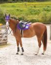 Tapis de selle TOUC TOUC Obstacle - GEM - Violet tendance