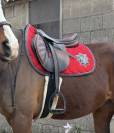 Selle antares 