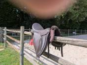 Selle Wintec 500 Cair Hart Mixte 17,5