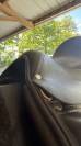 Selle de dressage Antar&egrave;s avec cuir Alta&Iuml;r