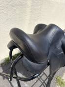 Selle Forestier 17' Aachen 