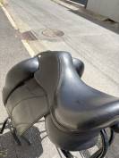 Selle Forestier 17' Aachen 