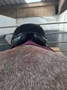 Selle 16,5 mixte 