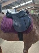 Selle 16,5 mixte 
