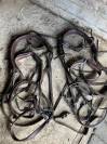 Harnais en paire cuir marron 