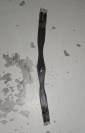 Sangle 125cm cuir
