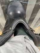 Selle de dressage 