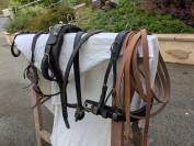 Harnais attelage poney 