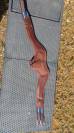 Sangle anatomique 135 cm