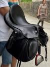 PRESTIGE HAPPY PONY SEGGIO 15