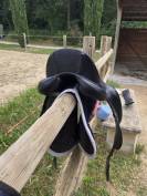 Selle Antares de dressage