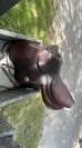 Selle Meyer 17,5