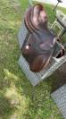 Selle Meyer 17,5