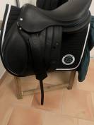 Selle S&eacute;oul forestier 