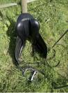 Belle Selle de dressage Childeric 17,5