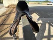 Selle equiline 