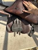 Selle equiline 