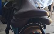 Selle Forestier Seoul Pro