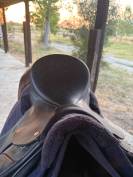 selle mixte 