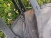 Selle islandaise joy