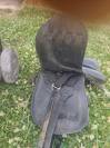 Selle islandaise joy
