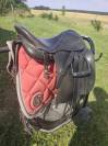 Selle islandaise joy