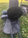 Selle islandaise joy