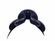 Selle Devoucoux Makila Harmonie 2024 17,5 pouces Q2A