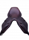 Selle GBS FS P6.5 2024 17 pouces QAV2