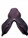 Selle GBS P2.5 P6.5 2022 17,5 pouces QAV2