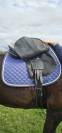 Selle brunet pineau