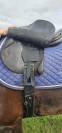 Selle brunet pineau