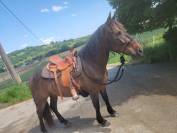 Selle western de randonn&eacute;e 