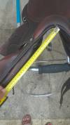 Selle Antares Monoquartier Connexion 17,5 veau Marron