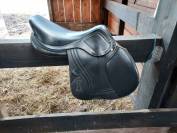 Selle d'&eacute;quiation Ikonic Evolution Line Taille : 17.5"