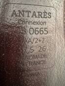 Selle Antar&egrave;s Connexion 2023 17,5 pouces 2AA/2+2