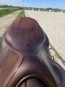 Selle Forestier Seoul 17