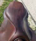 Selle Forestier Seoul 17