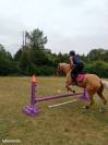 Lots obstacles CSO excellent &eacute;tat marque La G&eacute;e