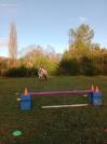 Lots obstacles CSO excellent &eacute;tat marque La G&eacute;e