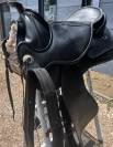 Selle Barefoot Arizona taille 1