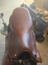 Selle renaissance plate cso