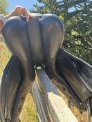 Selle Ikonic Dressage 17