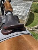 Selle CWD