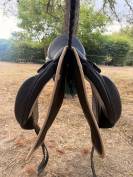 Selle Dressage Forestier