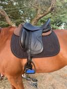 Selle Dressage Forestier